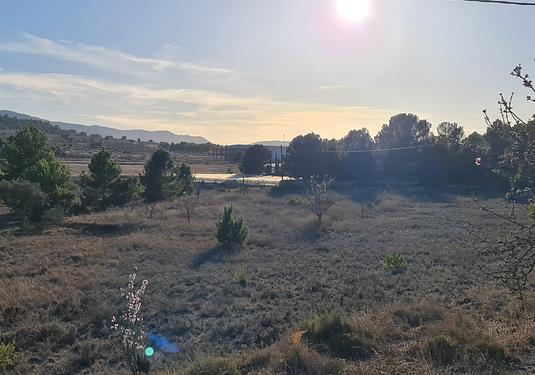 Land in Monóvar/Monóver