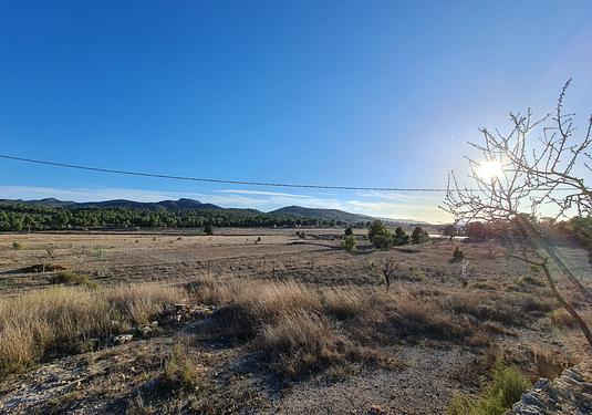 Land in Monóvar/Monóver
