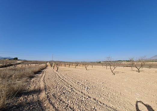 Land in Jumilla