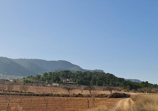 Land in Jumilla