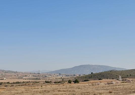 Land in Jumilla