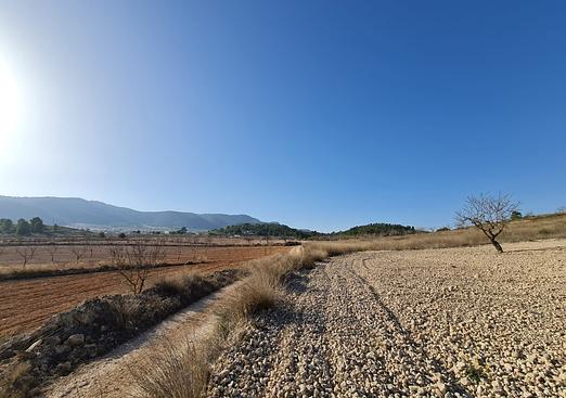 Land in Jumilla