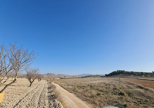 Land in Jumilla