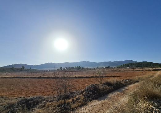 Land in Jumilla