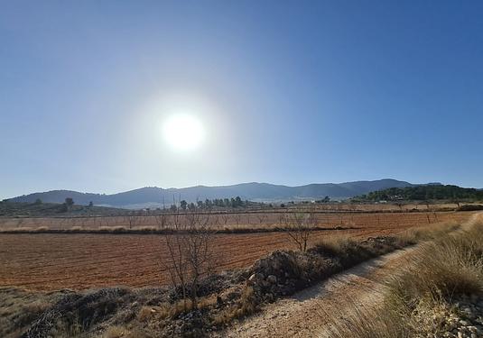 Land in Jumilla