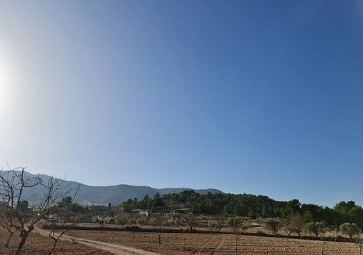 Land in Jumilla