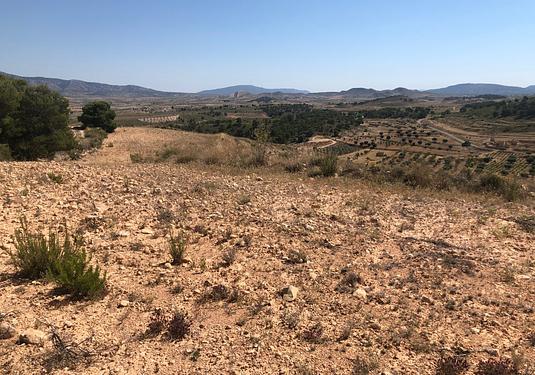 Land in La Zarza