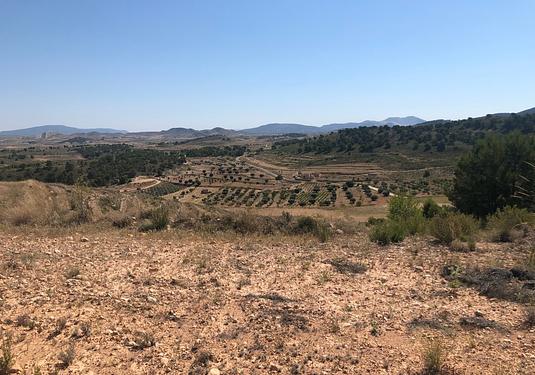 Land in La Zarza