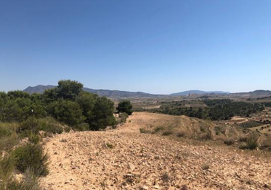 Land in La Zarza
