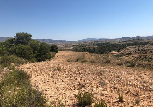 Land in La Zarza