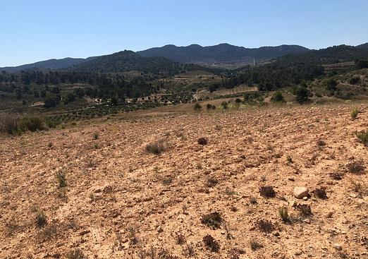 Land in La Zarza