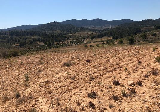 Land in La Zarza