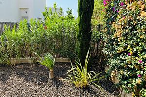thumb 32