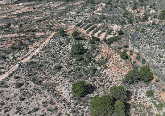 Land in Yecla