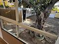 Finca in Alguazas