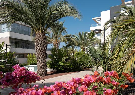 Apartment in Orihuela Costa