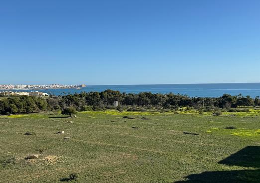 Apartment in Torrevieja