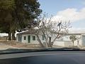 Country house in Yecla