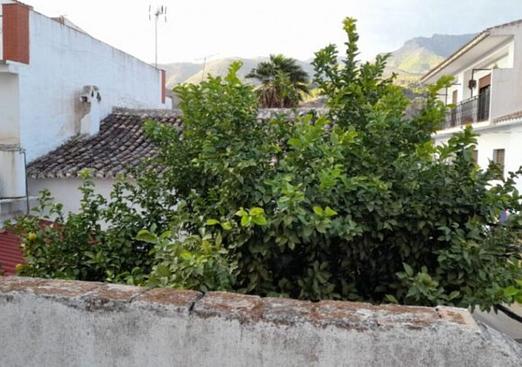 Town house in Alozaina