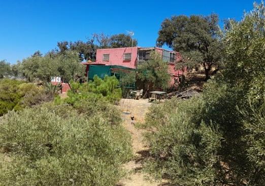 Country house in Alora