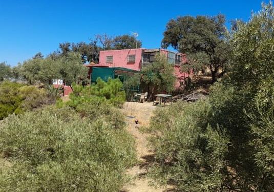 Country house in Alora