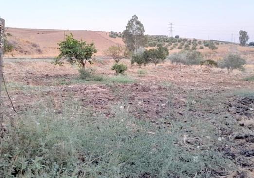 Country house in Alora