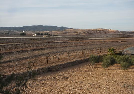 Country house in Pinoso