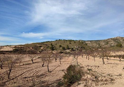 Country house in Jumilla