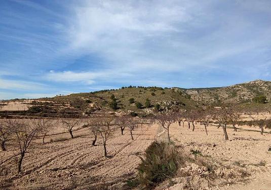 Country house in Jumilla