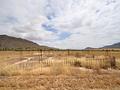 Land in Yecla