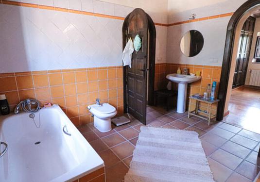 Country house in Alora