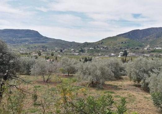 Country house in Alora