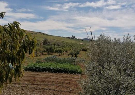 Country house in Alora