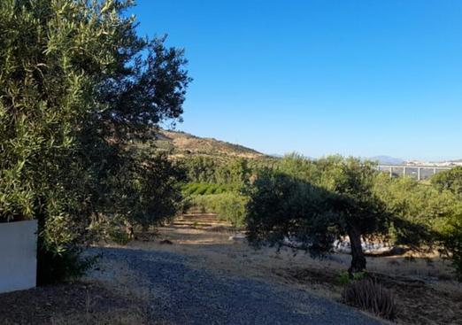 Country house in Alora