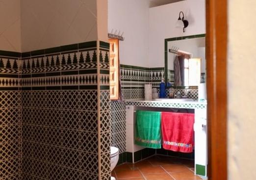 Country house in Alora