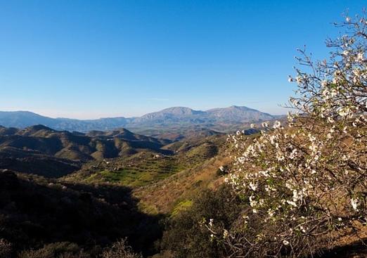 Country house in Alora