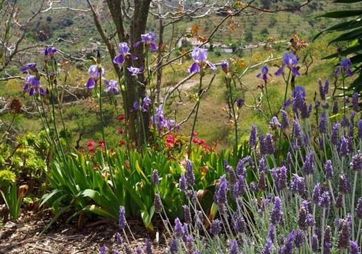 Country house in Alora