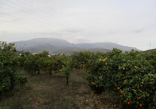 Country house in Alora