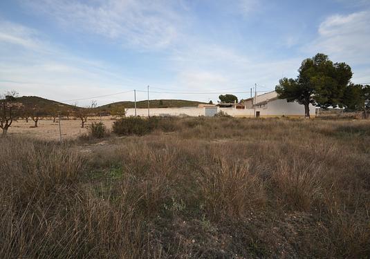 Land in Canada del Trigo