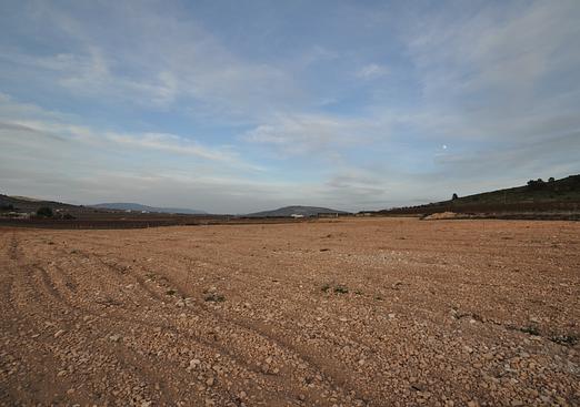 Land in Canada del Trigo