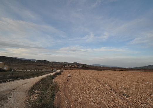 Land in Canada del Trigo