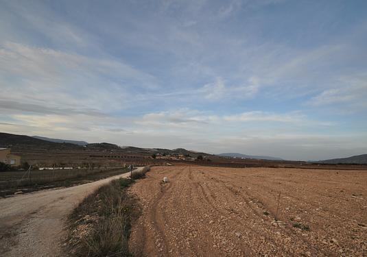 Land in Canada del Trigo