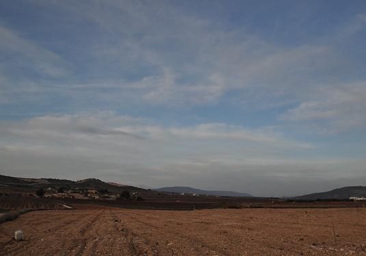 Land in Canada del Trigo