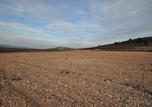 Land in Canada del Trigo