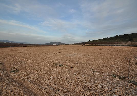 Land in Canada del Trigo