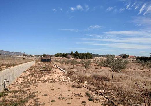 Country house in Pinoso