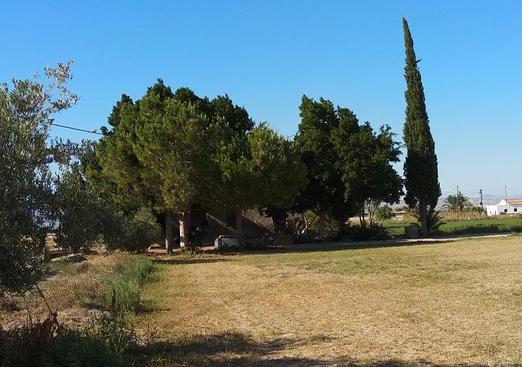 Finca in Callosa de Segura
