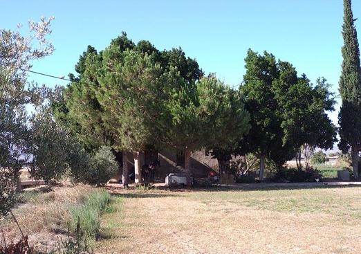 Finca in Callosa de Segura