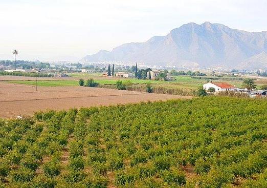 Finca in Callosa de Segura