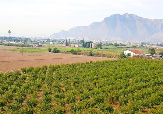 Finca in Callosa de Segura